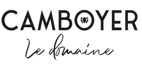 Logo Domaine de Camboyer 4*